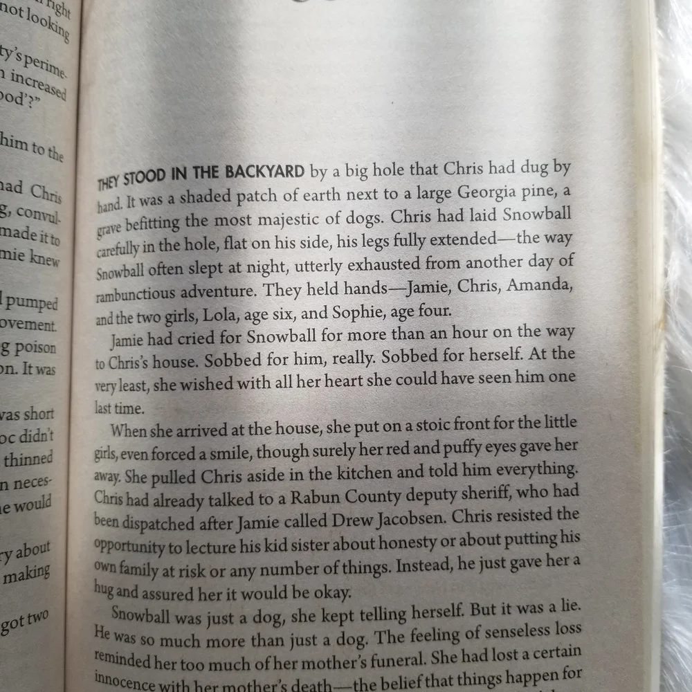 "False Witness" by Randy Singer Paperback Book - Picture 3 of 4